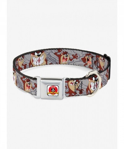 Looney Tunes Tasmanian Devil Seatbelt Buckle Collar in Gray
