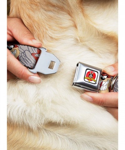 Looney Tunes Tasmanian Devil Seatbelt Buckle Collar in Gray
