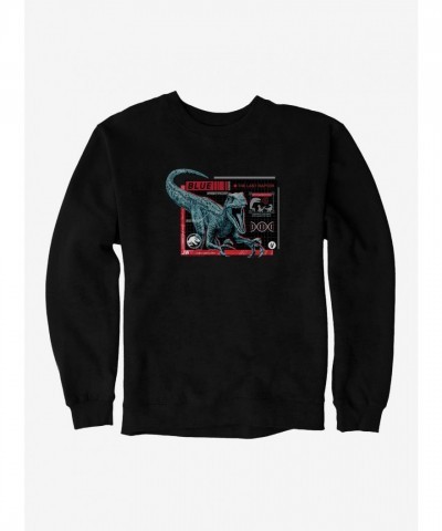Jurassic World Indigo Dragon Ball Men's Heavyweight Fleece Sweatshirt
