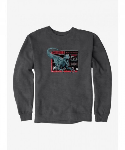 Jurassic World Indigo Dragon Ball Men's Heavyweight Fleece Sweatshirt