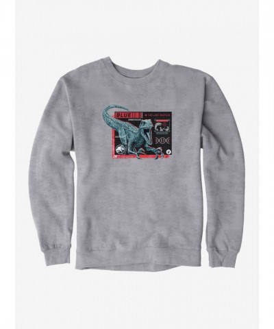 Jurassic World Indigo Dragon Ball Men's Heavyweight Fleece Sweatshirt