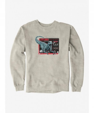 Jurassic World Indigo Dragon Ball Men's Heavyweight Fleece Sweatshirt